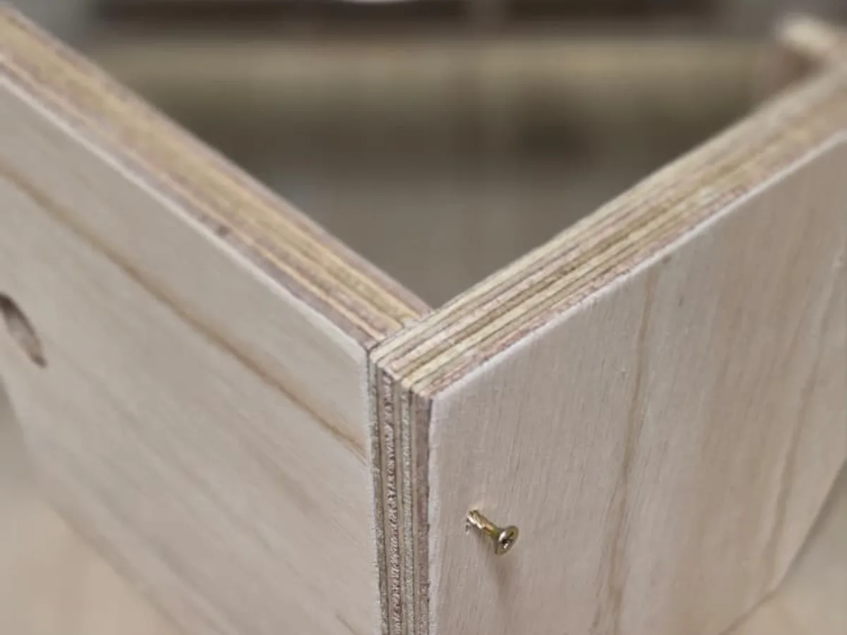 Bare marine plywood cabinet corner joint, showing the tight void-free laminations and a countersunk screw driven into the edge